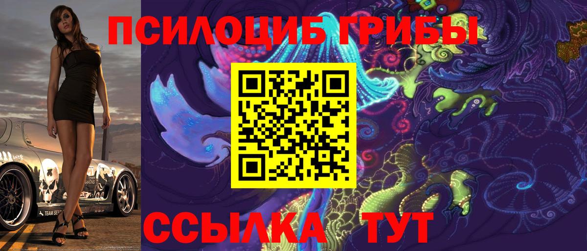 Галлюциногенные грибы Psilocybine cubensis  Вход с VPN  Лангепас 